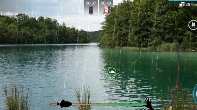 рыбалка 🎣 MyFishing где наловить 🪝 обыкновенный валёк
