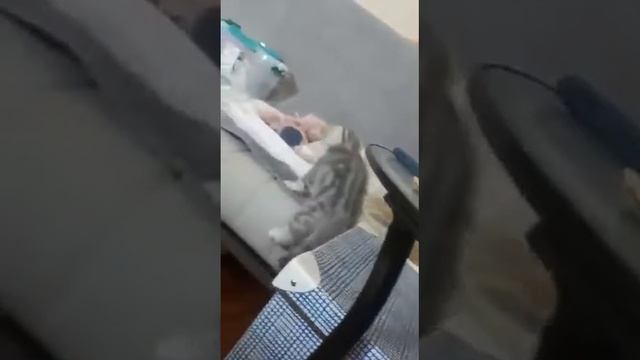 Вот как я умею