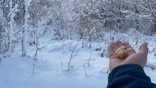 БУДЬ УБЕДИТЕЛЕН В СВОЕЙ ВЕРЕ...