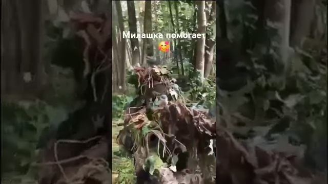 Милота на СВО #победа #мир #война #россия #сво # милота (360p)