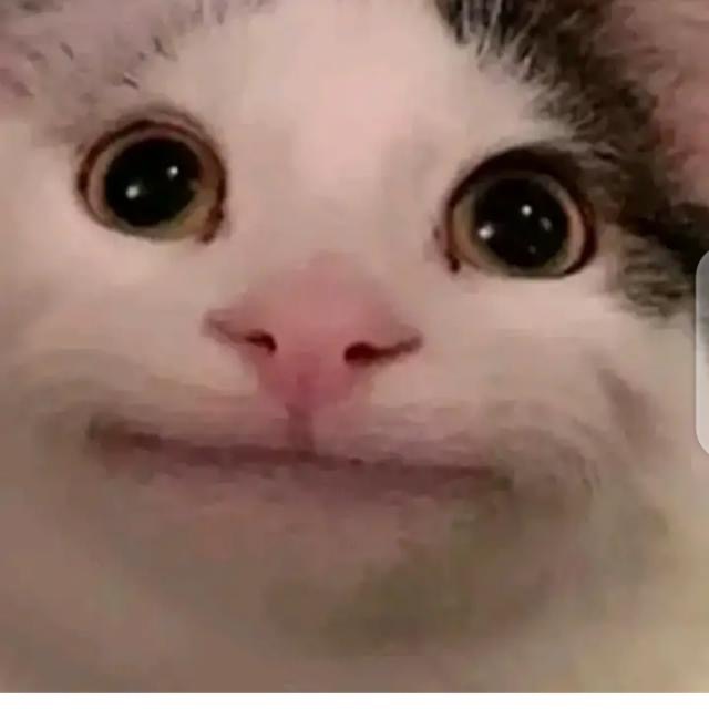 Гуляем