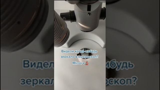 Зеркало под микроскопом