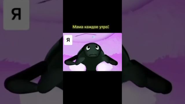 😂😂