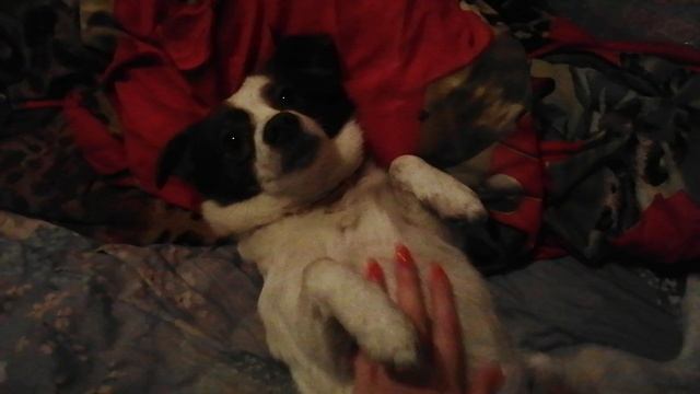 VID_20241108_004214.mp4