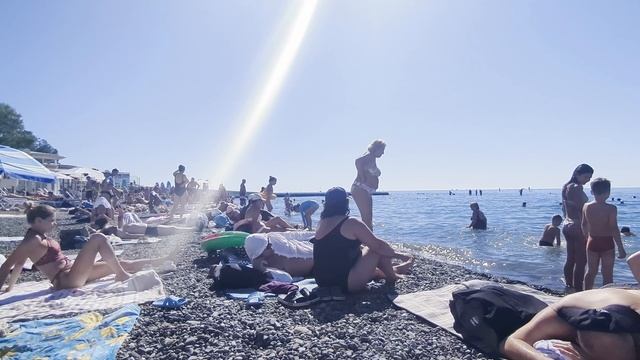 Путешествие в Сочи Осенью: Устрицы, Дракон и Горные Пейзажи