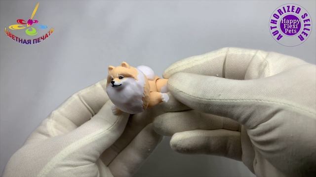 Шпиц - HD 1080p