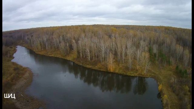 Осень перелетное время