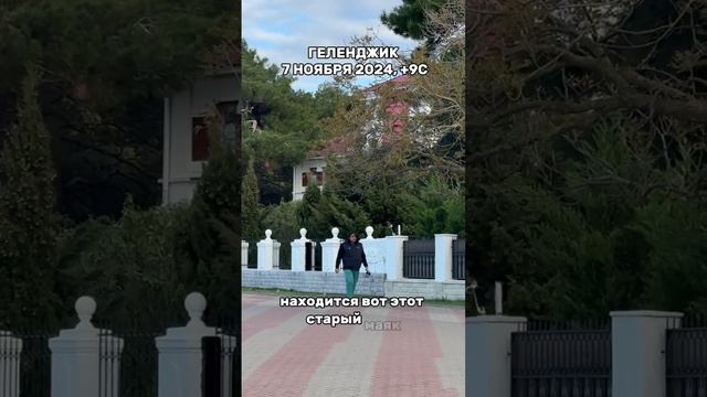 Геленджик, 7 ноября 2024 г., +9С
