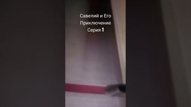 Савелий и Его Приключение Серия 1 #сериал