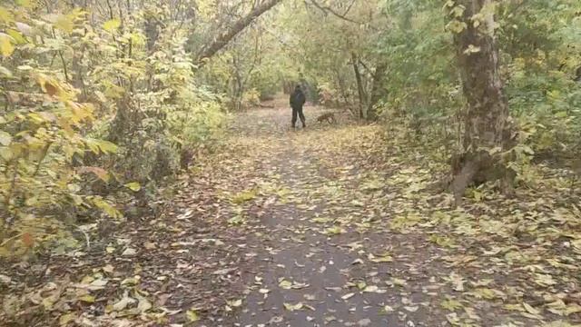 Осень в Ростове