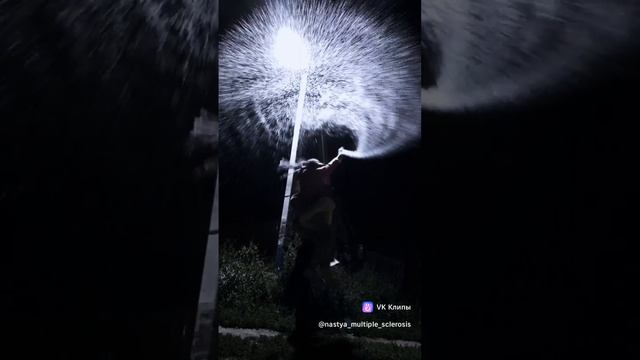 весилимся