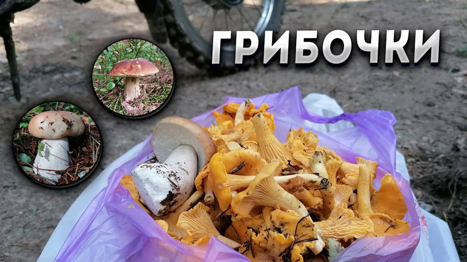 ЗиД 50 Пилот. Встреча с эндуристами. Сбор грибов