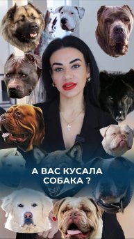 А на вас нападала собака?🐕🦺