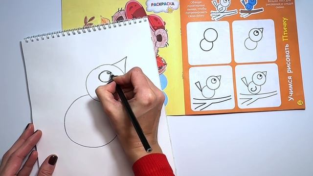 Как нарисовать птичку | Урок рисования | Рисуем птицу