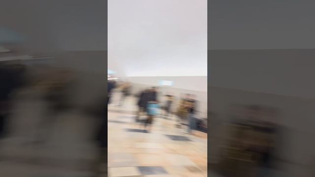 Музыка в метро
Трава у дома