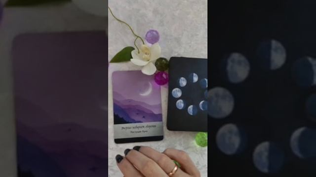 карта дня 7 ноября таро онлайн
