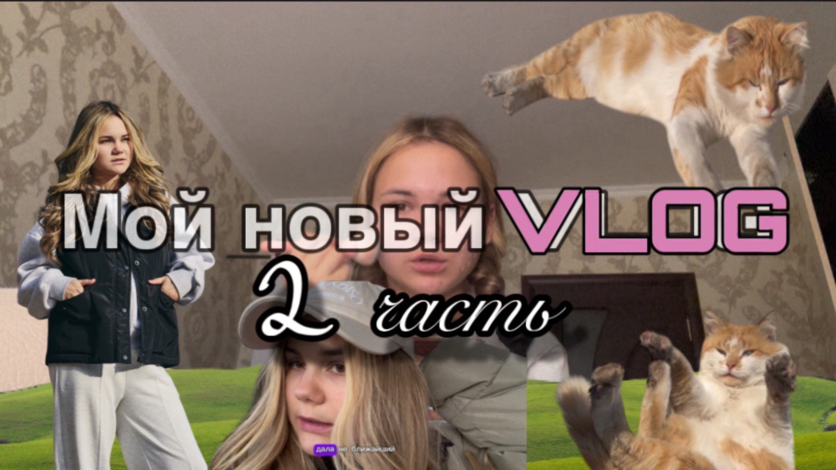 Не подхожу для модельного бизнеса🌈/ учусь в модельной школе👍/ еду домой🏠