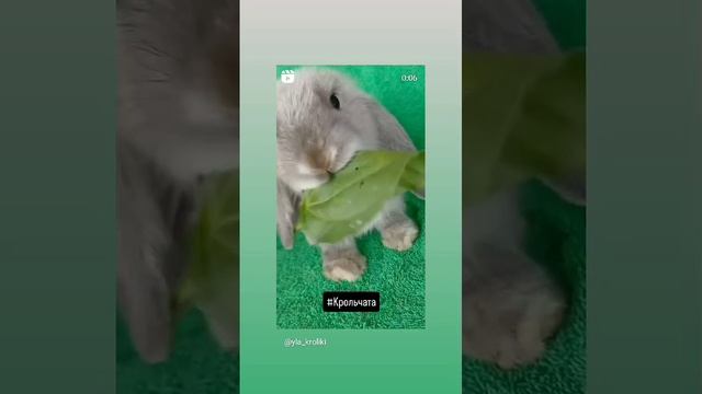 WhatsApp Video 2024-09-13 at 14.52.20
