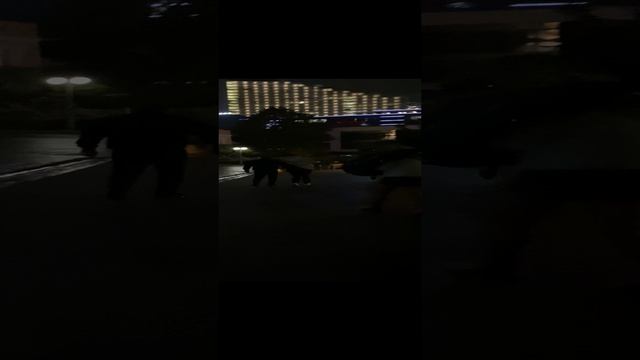 Ураган