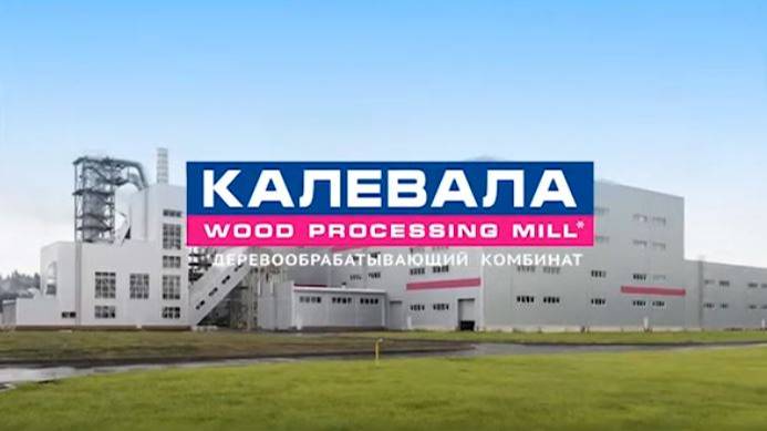Деревообрабатывающий комбинат г. Калевала. Работодатели-флагманы Республики Карелия.
