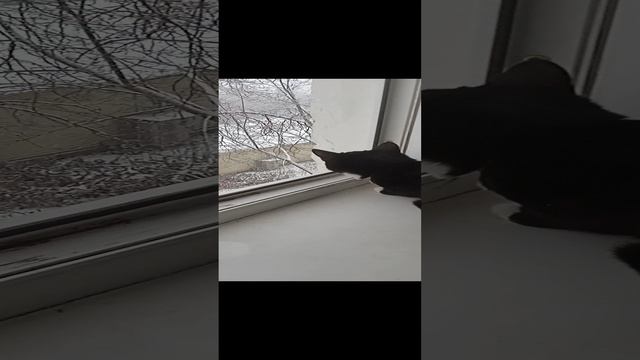 улицей любуется