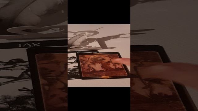 20241107_173501.mp4  Духи леса предупреждают
