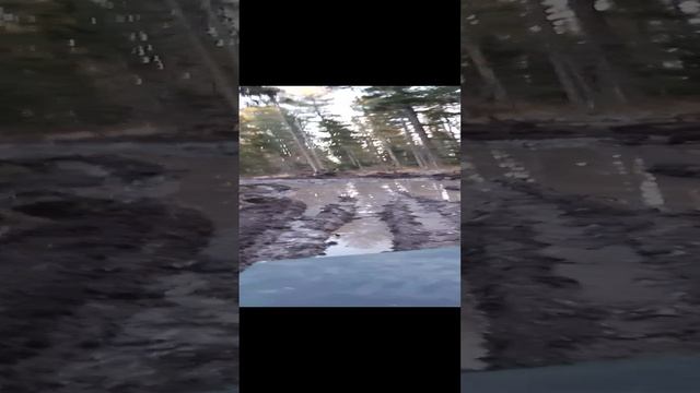 дорога для танка