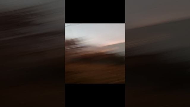 моя жизнь обзор