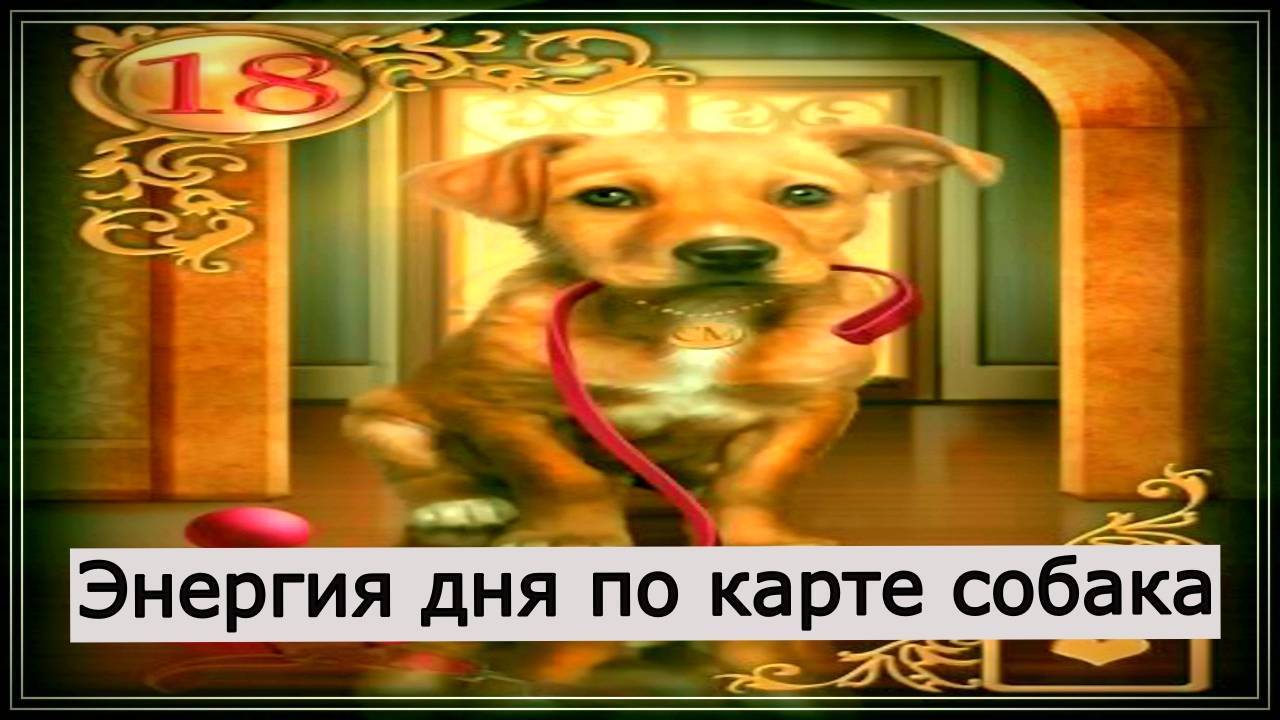 Энергия дня по карте собака.