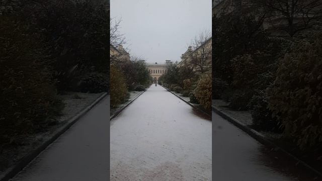 А за окном шел снег в Питербурге