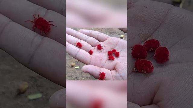 Подпишись🔥