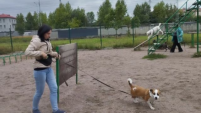 Моя Жизнь Кино @ Музей Псов