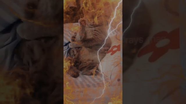 lv_0_20241107213138.mp4