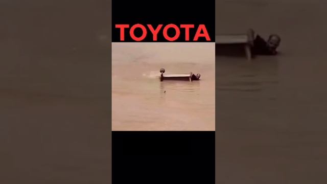 Memes From Internet Part 302