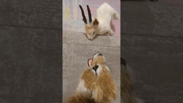 Хочет что бы она его с кушала