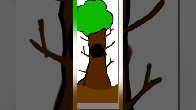 как выростить капусту