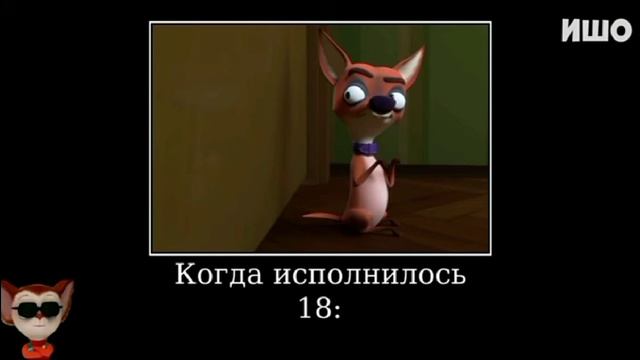приколы