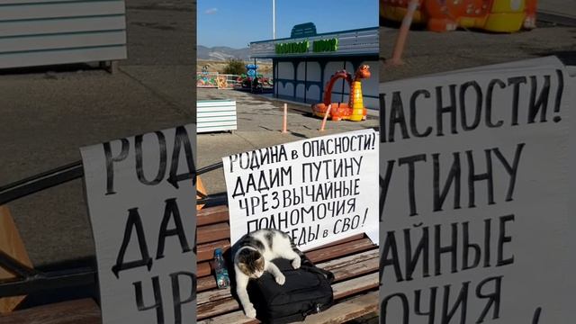 даже коту понятно:надо дать полномочия Путину!
