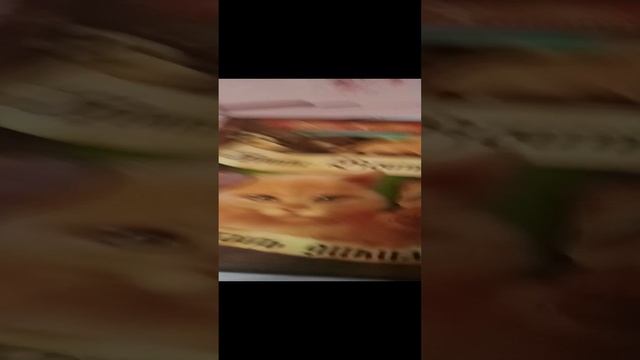 МНЕ НАКОНЕЦ ПРИШЛА КНИГА!!! Обзор книги коты воители стань диким?😨