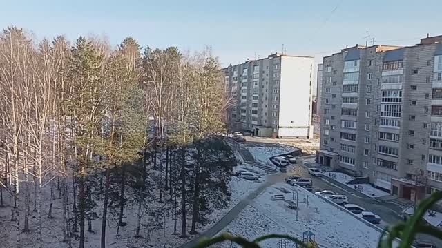 Привезла ЦВЕТЫ🌸🌺для черенкования/ЗЕЛЕНЬ🌿для зимнего выращивания на подоконнике.06.11.24г