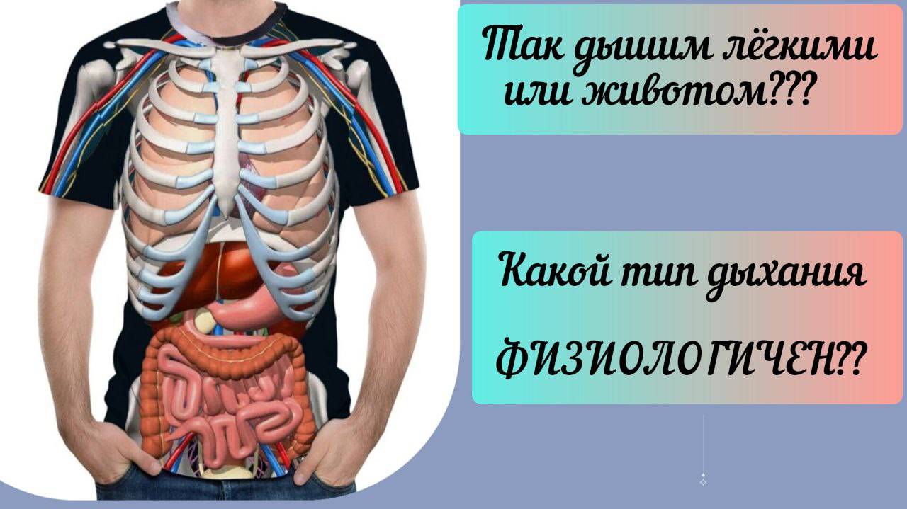 Так дышим лёгкими  или животом?? Какой тип физиологичен?