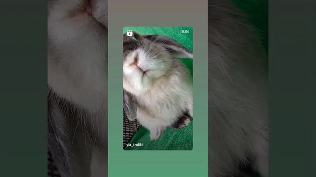 WhatsApp Video 2024-10-10 at 14.55.16