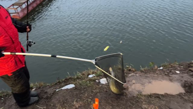 Поимка на пасту