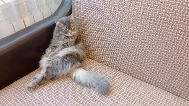 Филя отдыхает