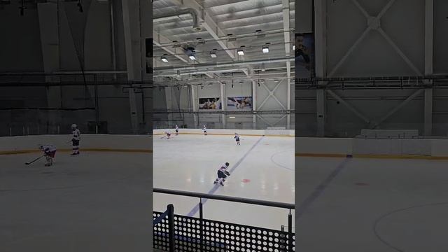 Хоккей в Сочи. НХЛ лига. Команда Медведи. Фестиваль.