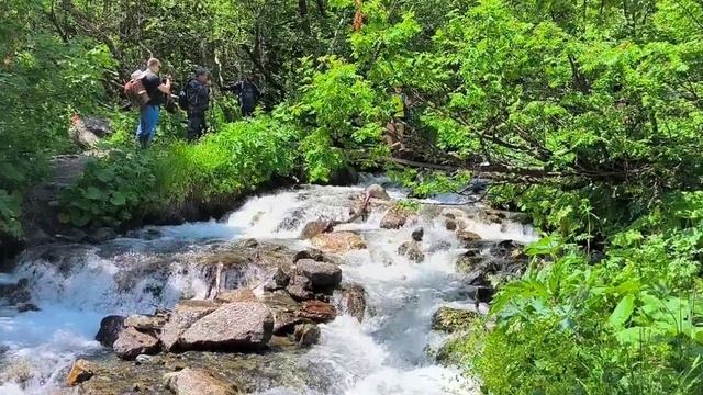 Алибекское ущелье. Домбай