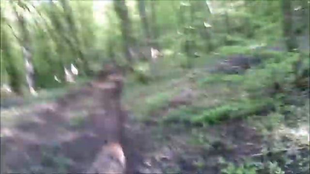 #всебегут #флешмобпобеды