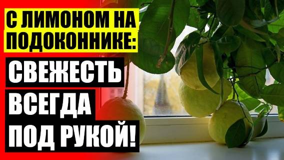 ПРИВИТЬ ЛИМОН В ДОМАШНИХ УСЛОВИЯХ ВИДЕО