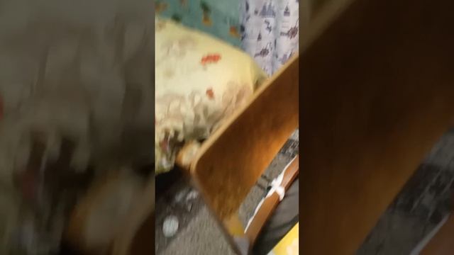 собираюсь в школу