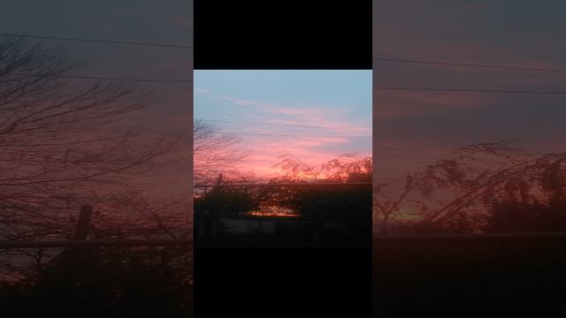 VID_20241106_170649.mp4